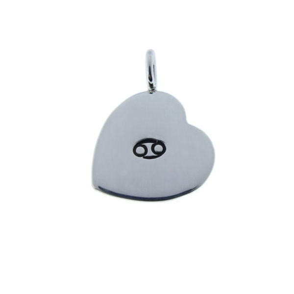 Picture of Silver Heart Charm Necklace