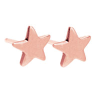Picture of Gold Star Stud Earring Set