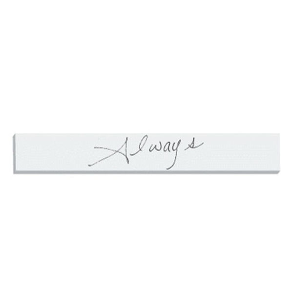 Picture of Silver Dream Big Charm Necklace